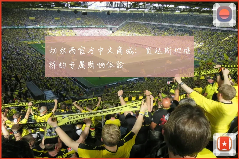 切尔西官方中文商城：直达斯坦福桥的专属购物体验
