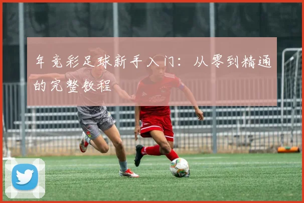 年竞彩足球新手入门：从零到精通的完整教程