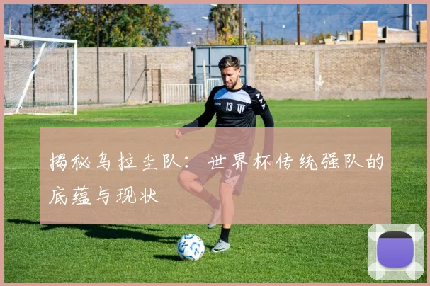揭秘乌拉圭队：世界杯传统强队的底蕴与现状
