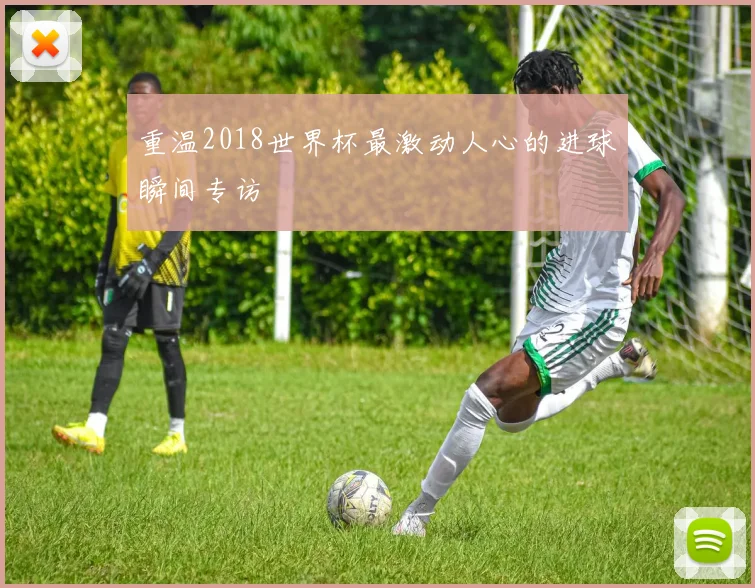 重温2018世界杯最激动人心的进球瞬间专访