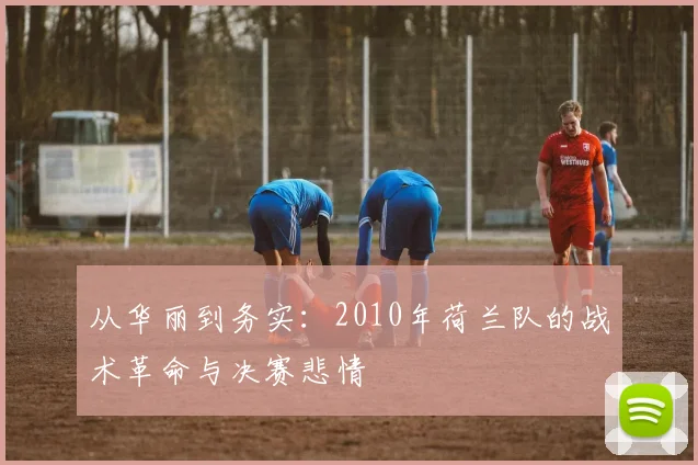 从华丽到务实:2010年荷兰队的战术革命与决赛悲情