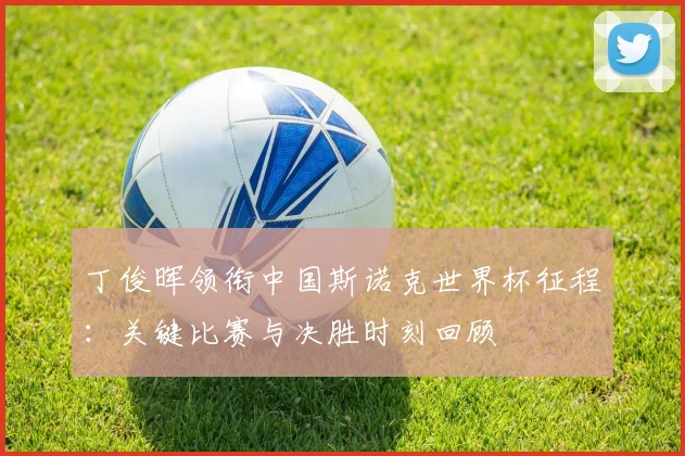 丁俊晖领衔中国斯诺克世界杯征程:关键比赛与决胜时刻回顾
