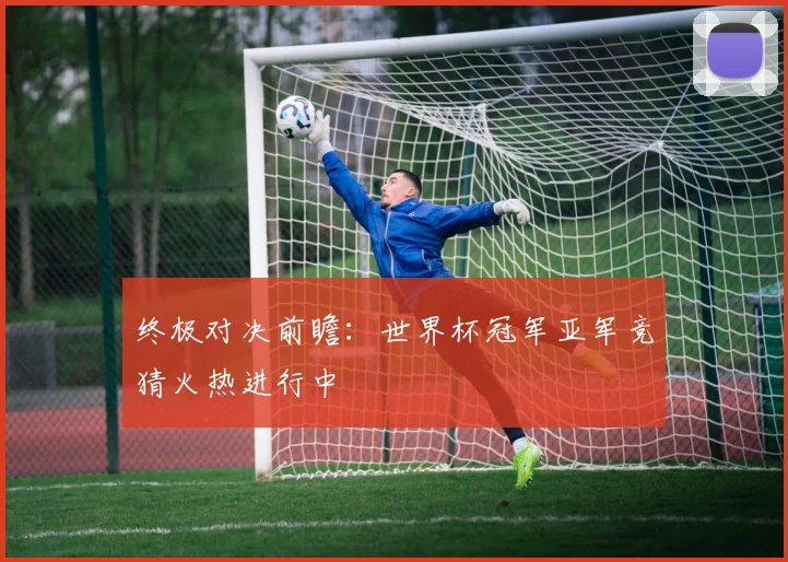 终极对决前瞻：世界杯冠军亚军竞猜火热进行中