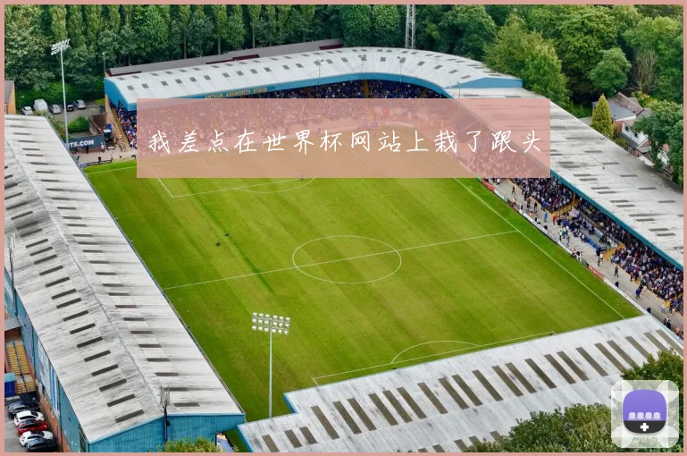 我差点在世界杯网站上栽了跟头