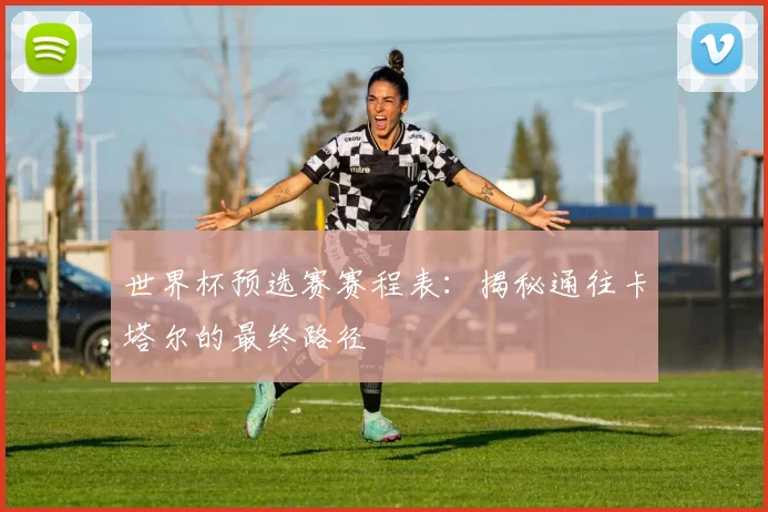 世界杯预选赛赛程表:揭秘通往卡塔尔的最终路径