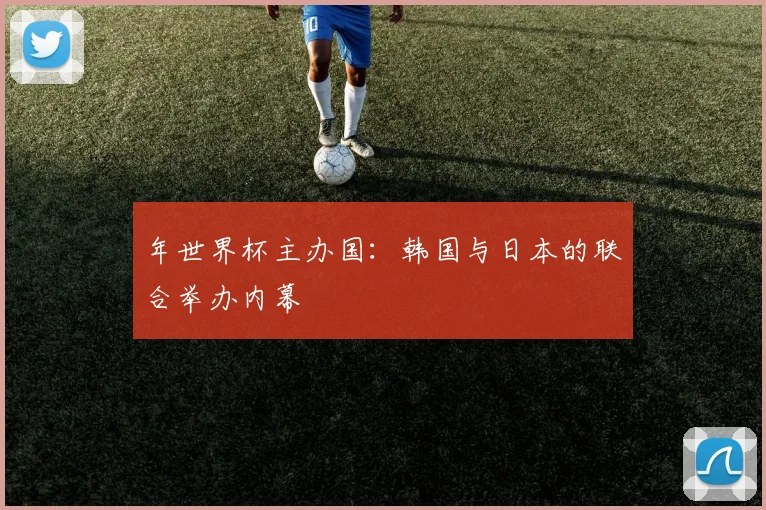 年世界杯主办国:韩国与日本的联合举办内幕
