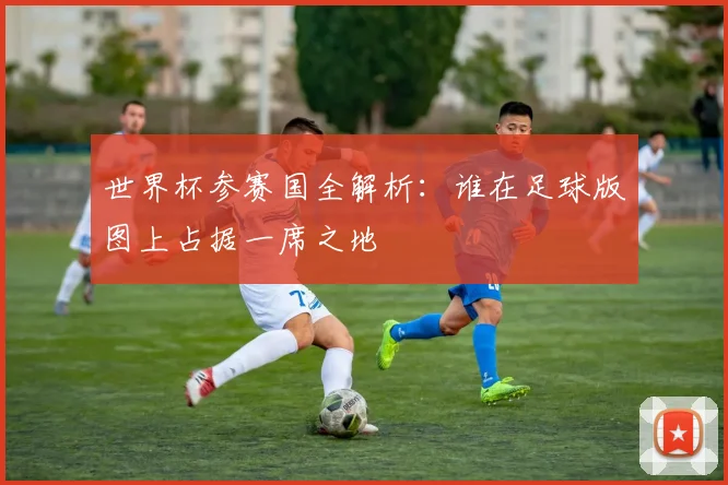 世界杯参赛国全解析:谁在足球版图上占据一席之地
