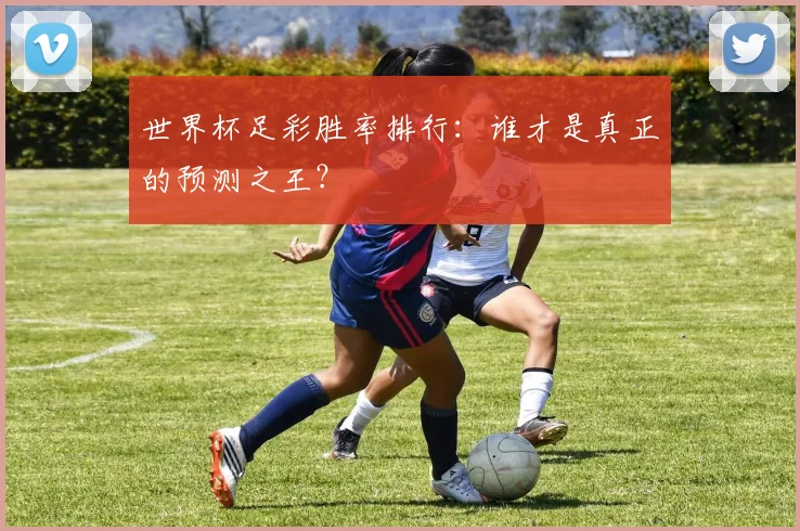 世界杯足彩胜率排行:谁才是真正的预测之王?