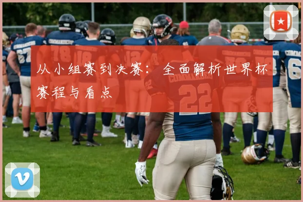 从小组赛到决赛:全面解析世界杯赛程与看点
